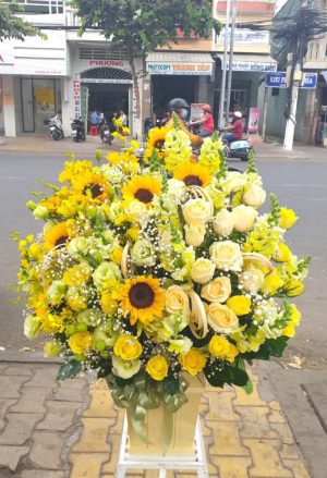 Shop Hoa Tươi Thị trấn La Hai, Đồng Xuân, Phú Yên