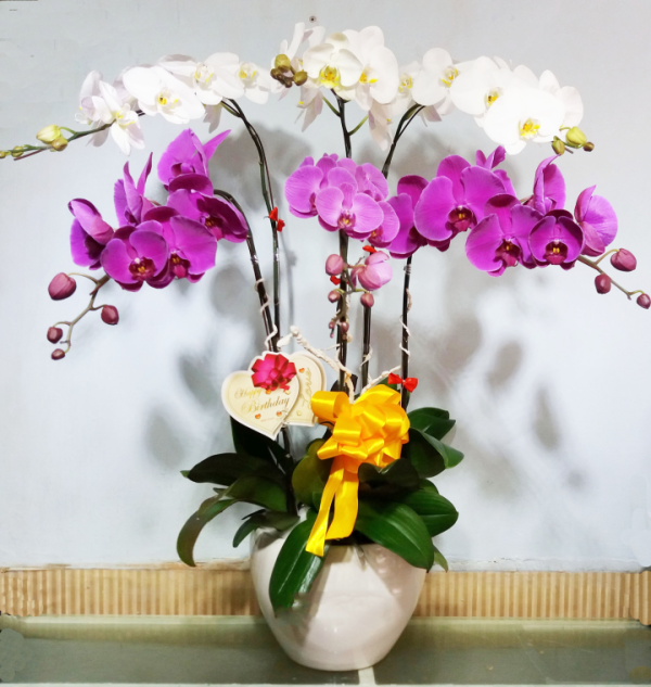 Shop Hoa Thị xã Đông Hòa, Tỉnh Phú Yên có hợp lý không?