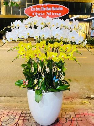 Shop Hoa Tươi Thị trấn Hai Riêng, Sông Hinh, Phú Yên