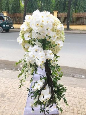 Shop Hoa Tươi Thị trấn Củng Sơn, Sơn Hòa, Phú Yên