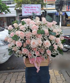 Shop Hoa Tươi Thị trấn Chí Thạnh, Tuy An, Phú Yên
