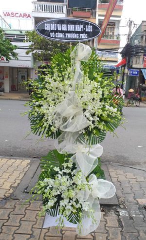 Shop Hoa tươi Huyện Tuy An, Tỉnh Phú Yên