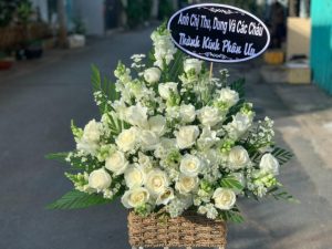 Shop Hoa Tươi Thành phố Tuy Hòa, Tỉnh Phú Yên