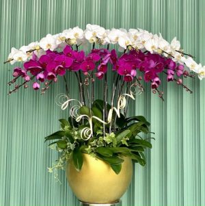 Shop Hoa Tươi Thành phố Tuy Hòa, Tỉnh Phú Yên