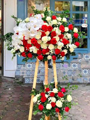 Shop Hoa tươi Huyện Sông Hinh, Tỉnh Phú Yên